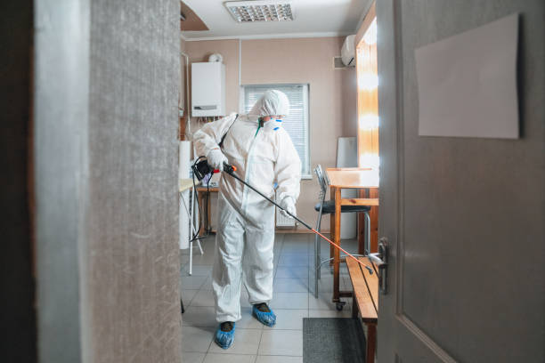 Best Forensic Mold Investigation  in Glenwood, MN
