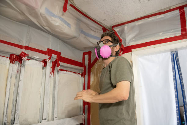 Glenwood, MN Mold Removal Company